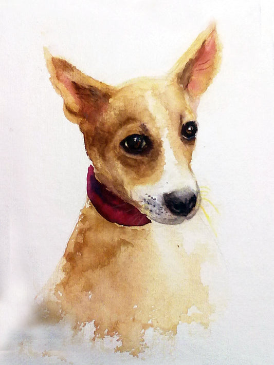 Doe eyed puppy, canvas print of watercolor painting