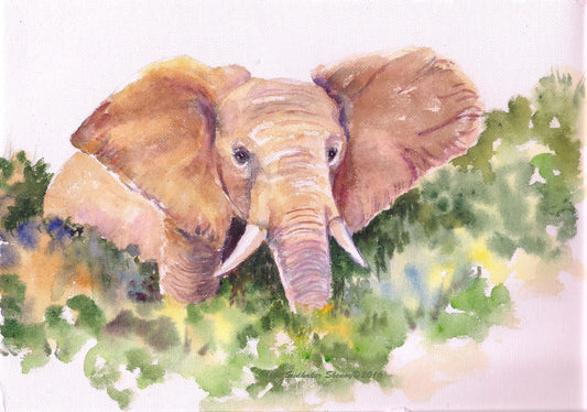 watercolor African elephant