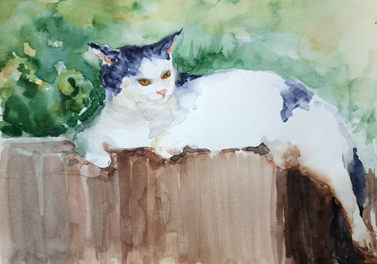 closeup Cat on the wall, watercolor painting
