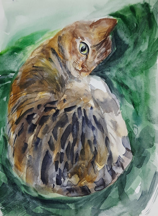 Kumuda, notre chat tigré (Épuisé)
