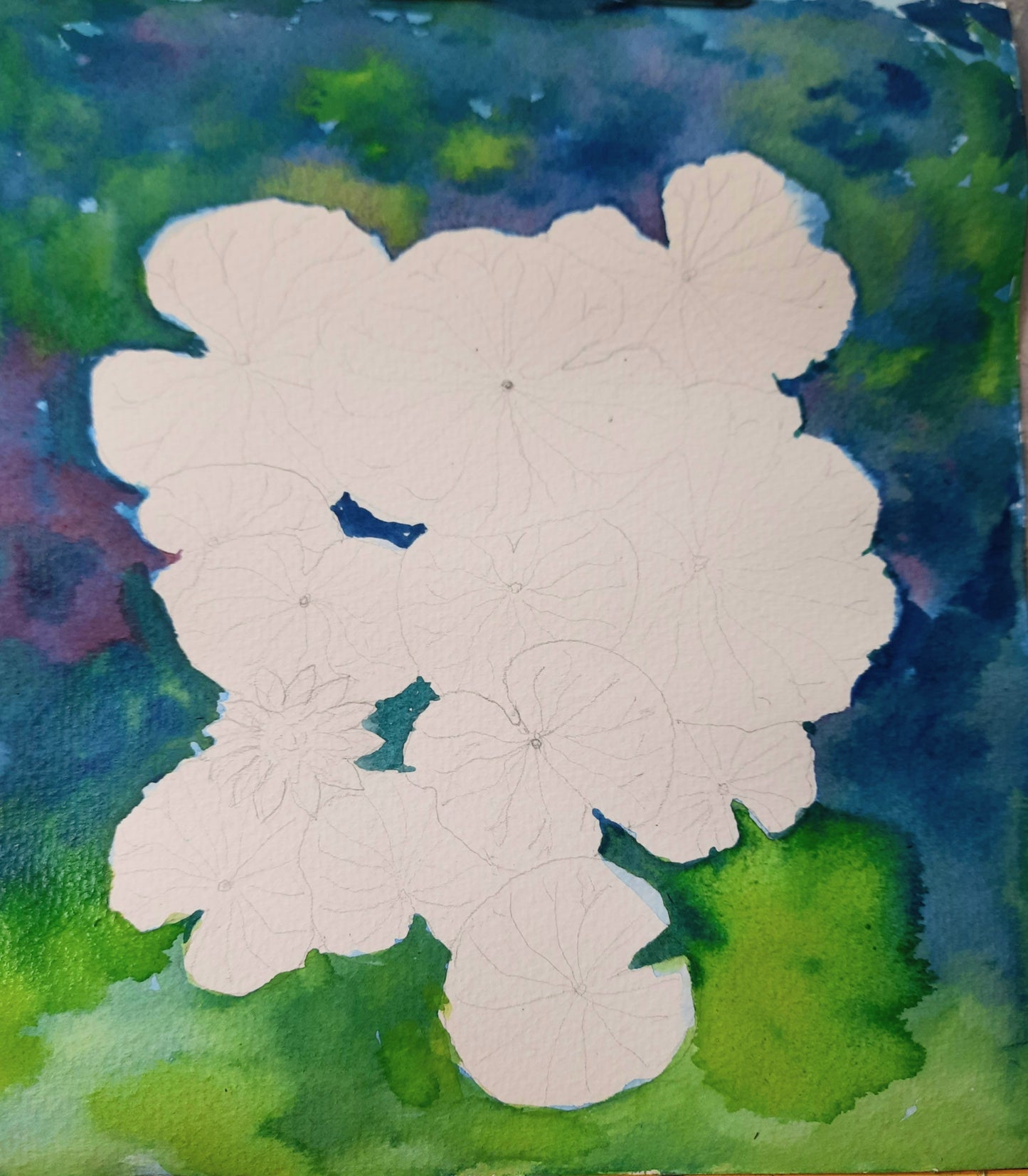 Work in progress, Lotus Pond watercolor painting