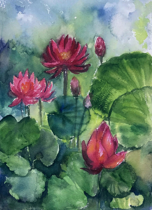 Monsoon water lily pond