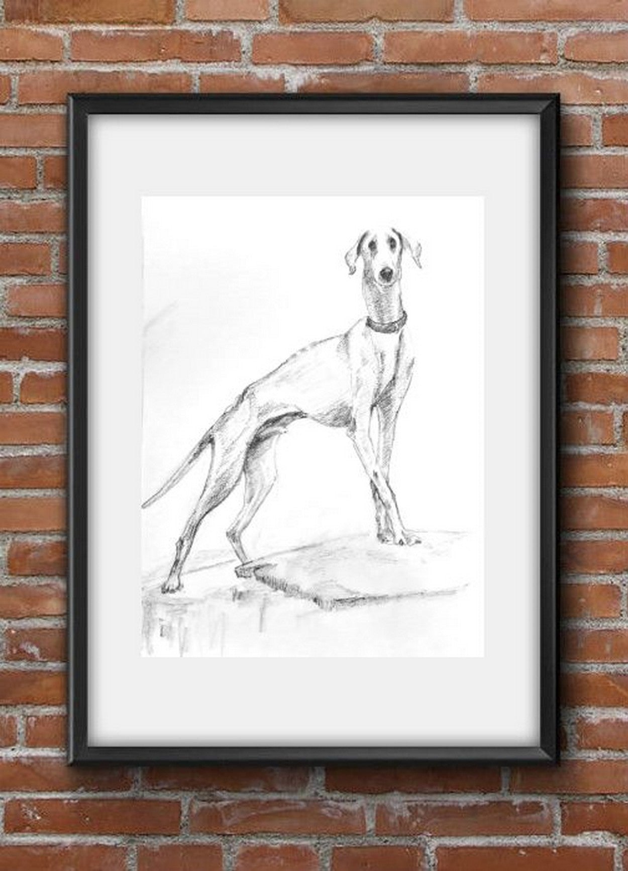 Virtual frame view, The Famous Indian Mudhol breed dog, pencil sketch on paper