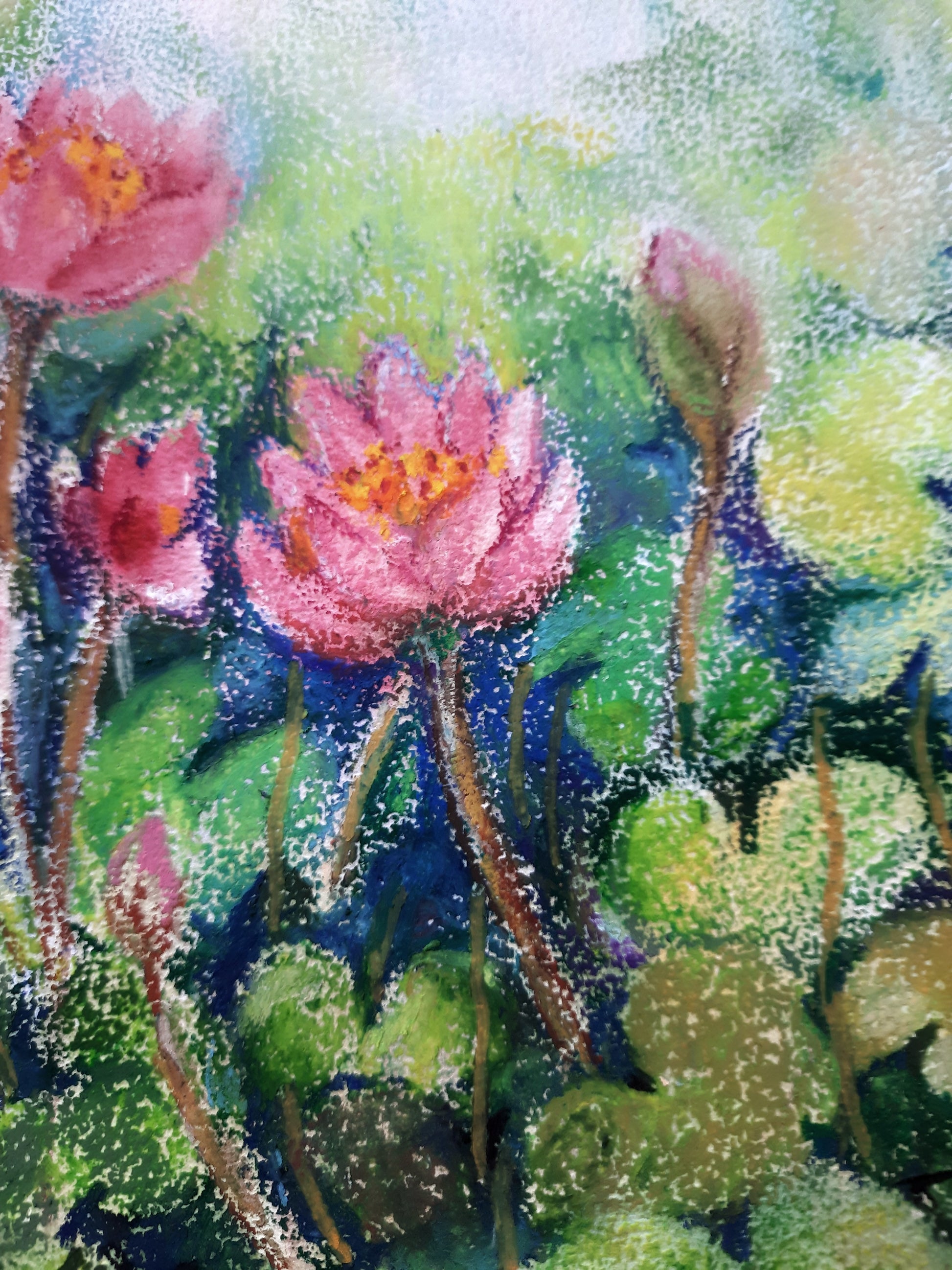 closeup, Lotus flowers in a Pond, mixed media artwork
