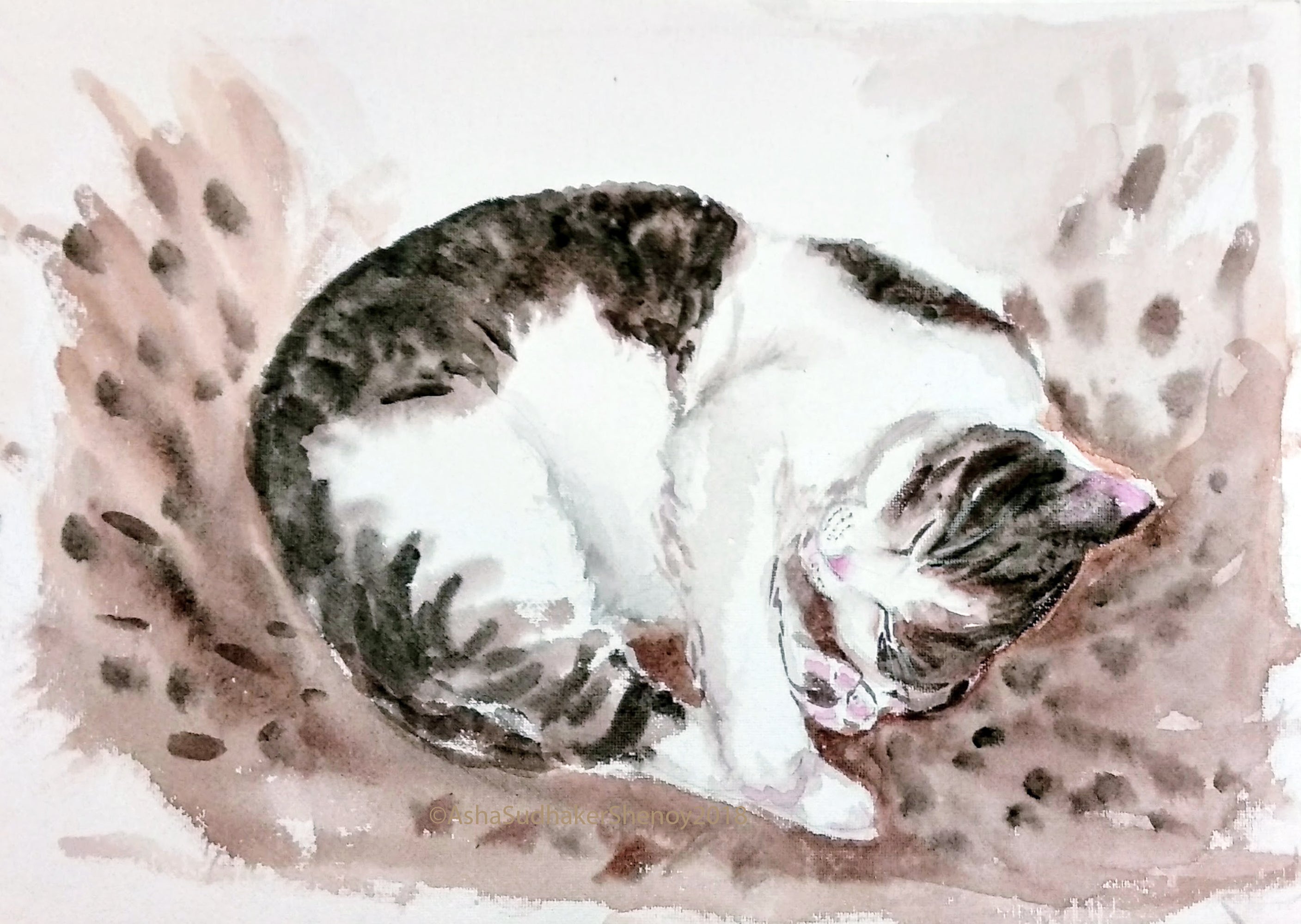 Sleeping Cat canvas print