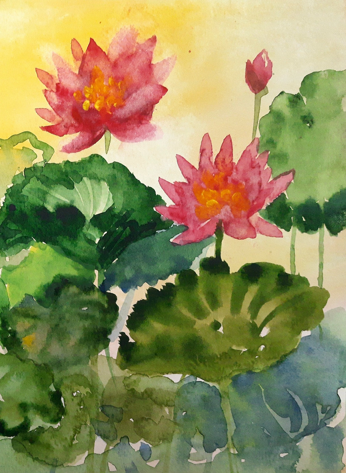 closeup, Sunset Water Lilies, watercolor painting on paper