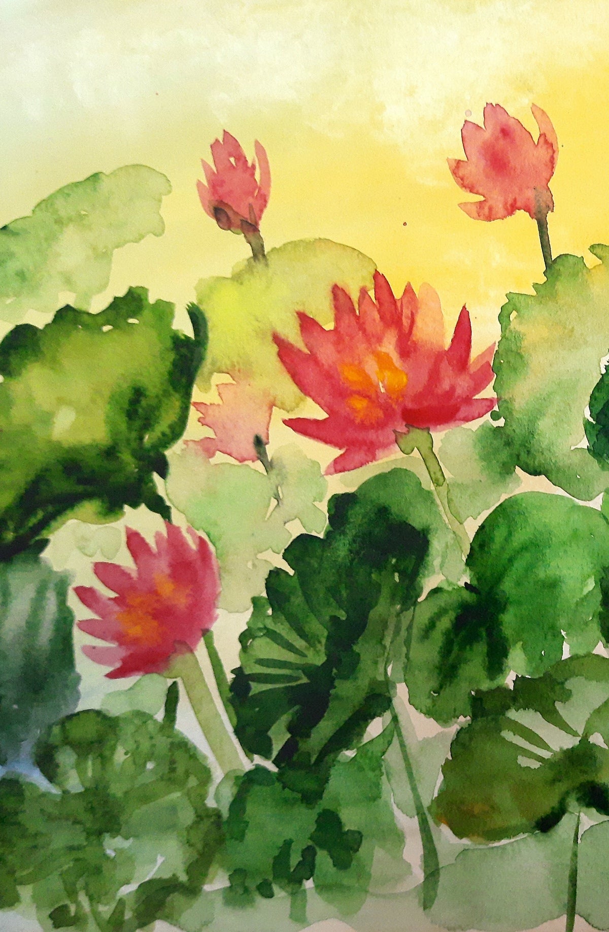 close-up,  Sunset Water Lilies, watercolor painting on paper