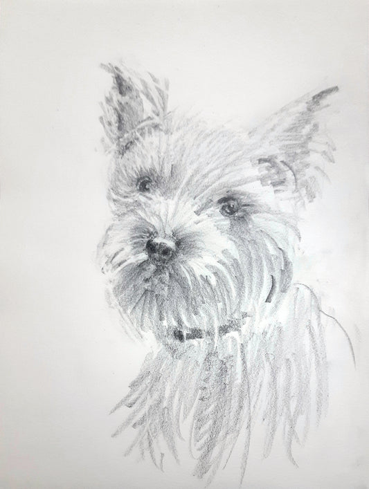 Portrait d'animal de compagnie Terrier, chien Croquis au crayon sur papier