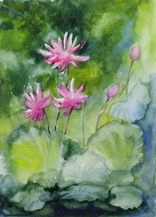 Pink water lilies, watercolor painting