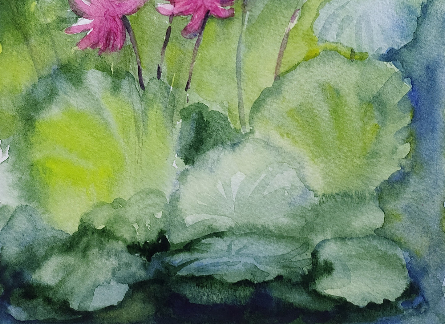 closeup Pink water lilies, watercolor painting