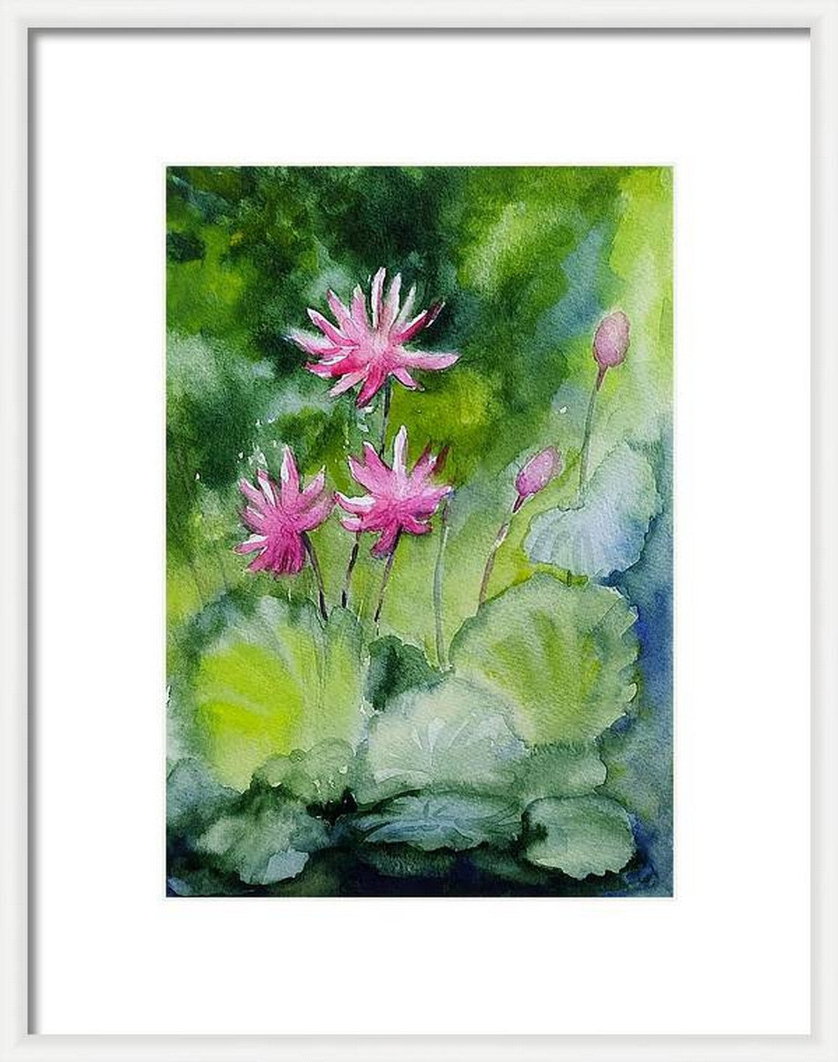 In a virtual frame, Pink water lilies, watercolor painting