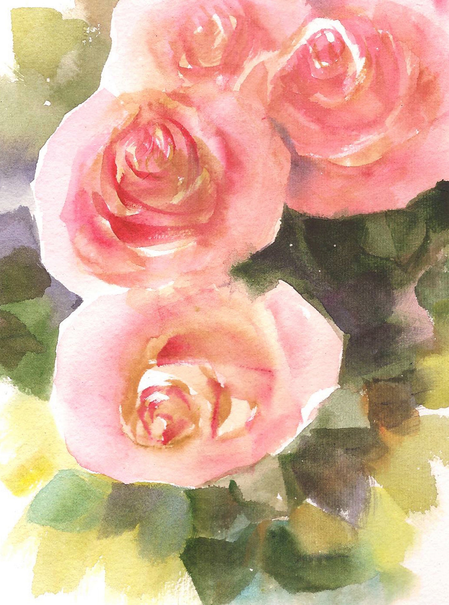 Close-up view Cream and copper Summer roses, watercolors on paper