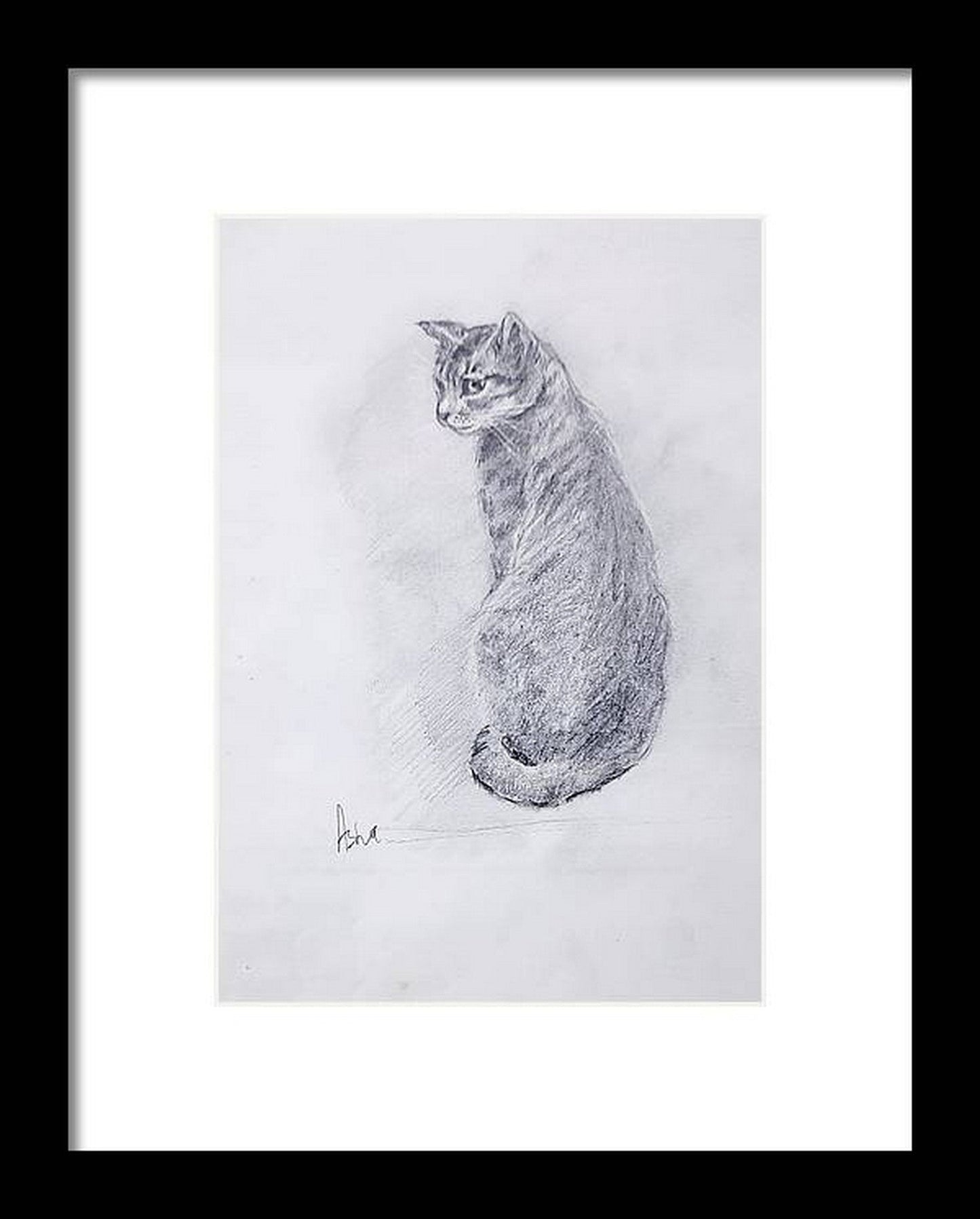 Tabby pet cat, pencil sketch on paper, original wall art