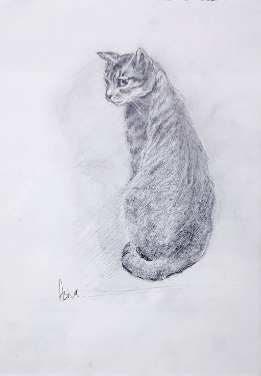 Un gato mascota Tabby, dibujo a lápiz sobre papel, arte de pared original