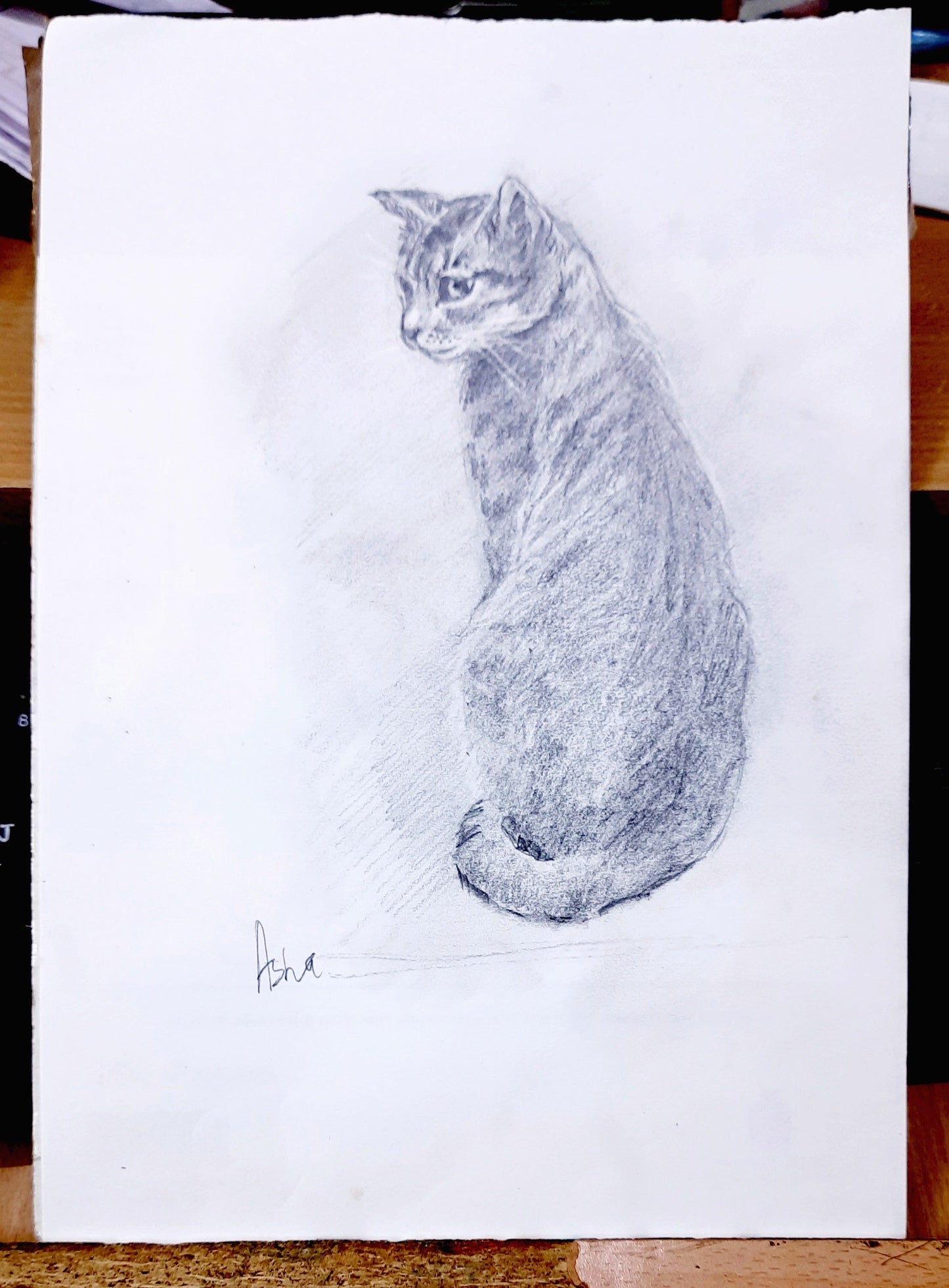 Tabby pet cat, pencil sketch on paper, original wall art